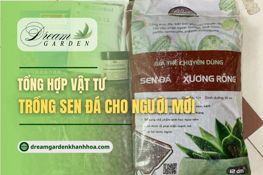 Tổng Hợp Vật Tư Trồng Sen Đá Cho Người Mới